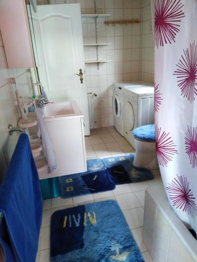 Fachwerkhaus In D 63667 Nidda Fuer 8 Bis 12 Personen Daire Dış mekan fotoğraf